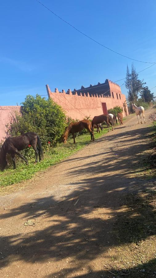 Gite Touristique Yassmine Madagh Exterior foto